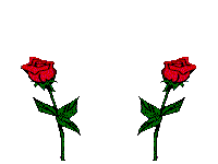 2 rosen