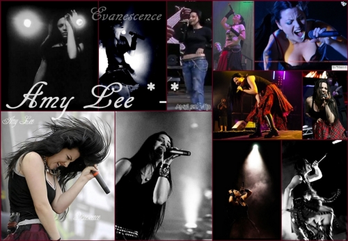 Evanescence-Amy Lee