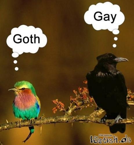 gay+goth