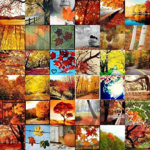 Herbst_Mosaik