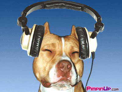 hund mit musik
