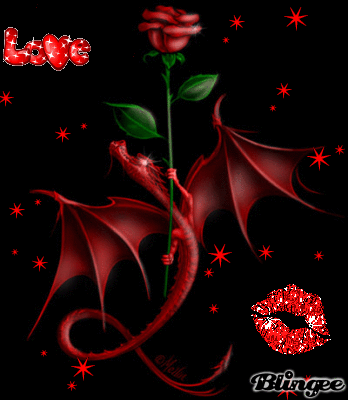 Red Dragon Rose