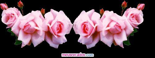 rosa rosenband