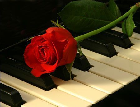 Rose der Musik