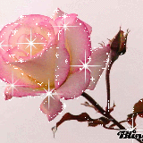 blink_rose