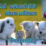 donnerstag