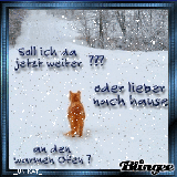 Katze_im_Schnee