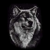 Mein Wolf