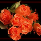 orange rosen