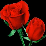 rote rosen
