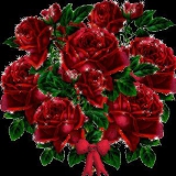 strauß roter rosen