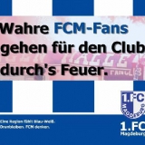 wahre fans