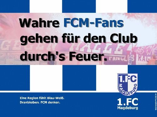 wahre fans