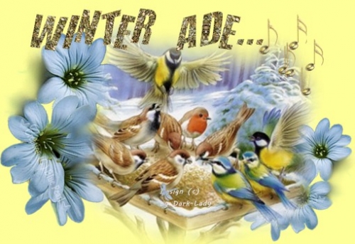 winter ade